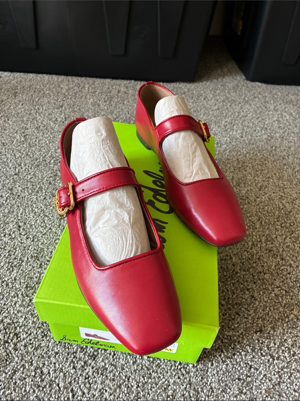 Sam Edelman Red Leather Mary Jane Flats with Gold Buckle